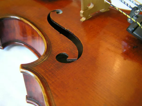 A photograph of a violin